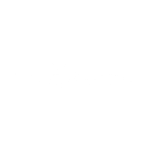 Teckwrap a Berti Folia kiemelt partnerei