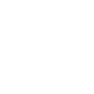 Armolan-logo